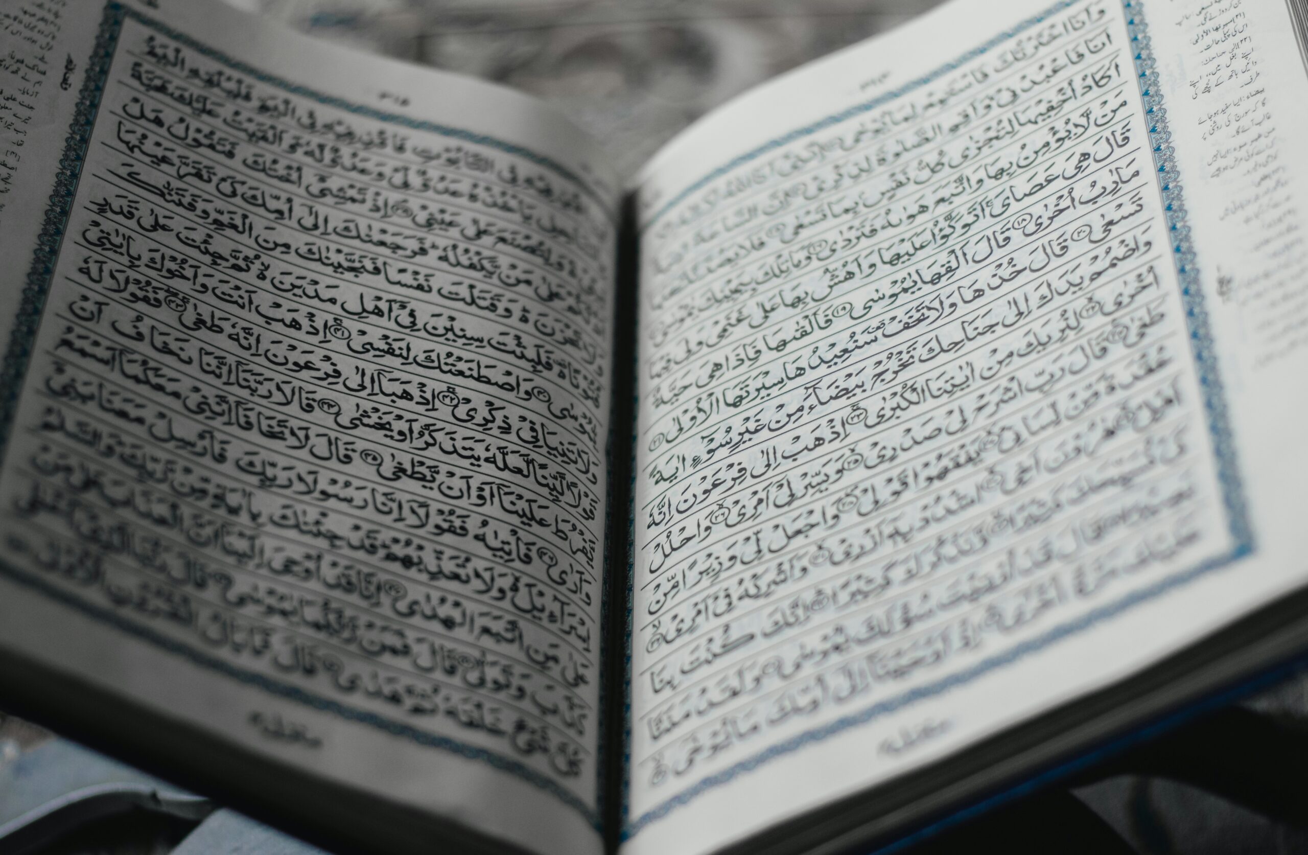 md-mahdi-qP9kYAfY3tc-unsplash