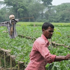 Agri-Value Chain Funding